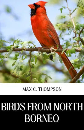 BIRDS FROM NORTH BORNEO