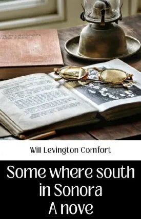 Somewhere south in Sonora A novel