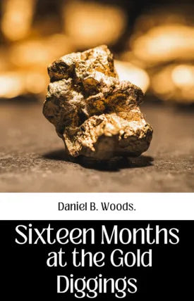 SIXTEEN MONTHS AT THE GOLD DIGGINGS.