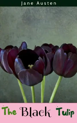 The Black Tulip