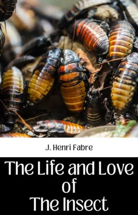 THE LIFE AND LOVE OF THE INSECT