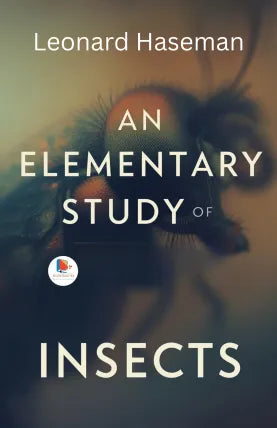 An Elementary Study of Insects