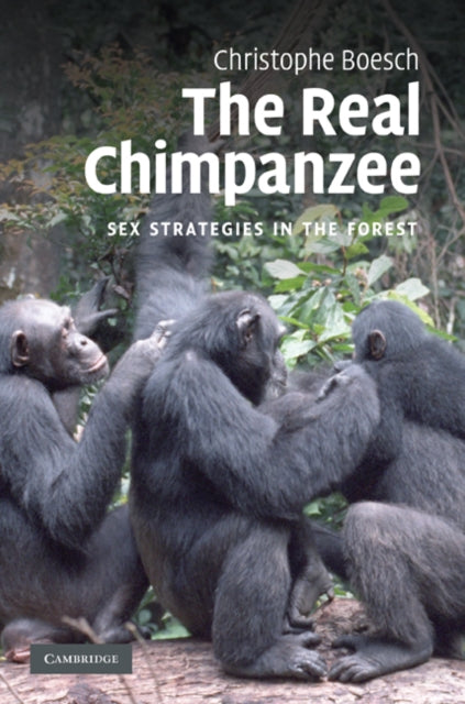 Real Chimpanzee
