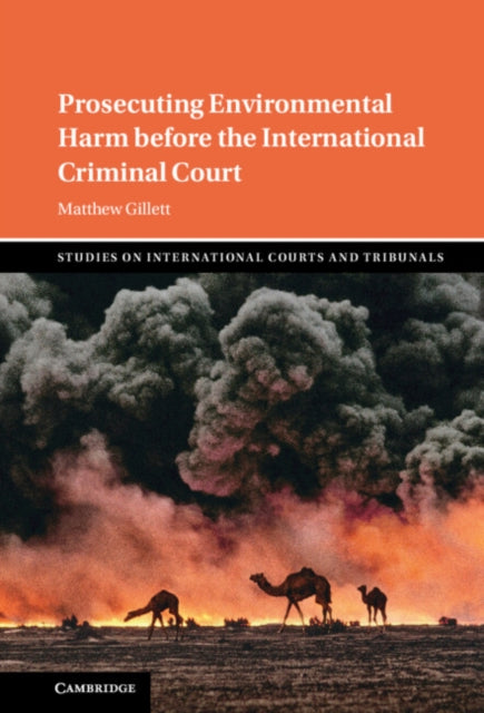 Studies on International Courts and Tribunals