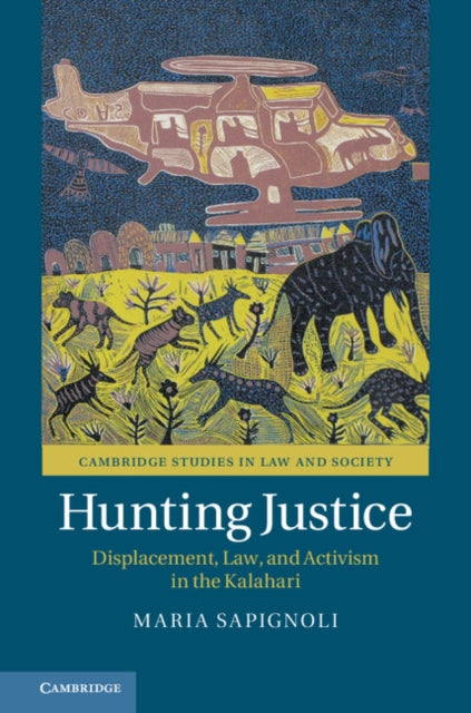 Cambridge Studies in Law and Society