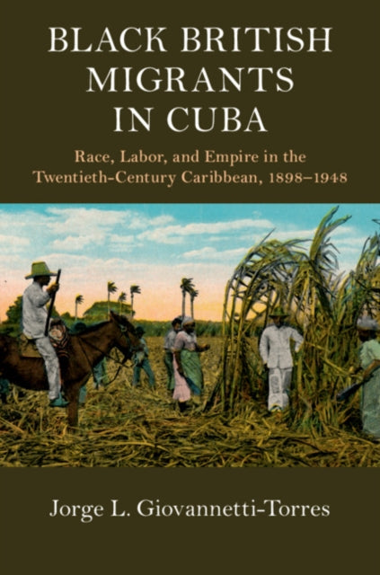 Cambridge Studies on the African Diaspora