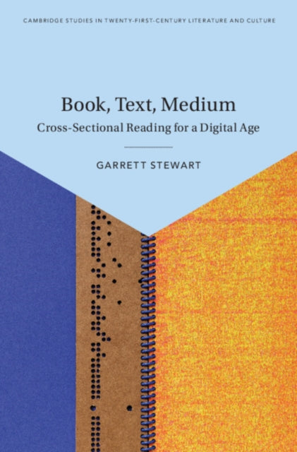 Cambridge Studies in Twenty-First-Century Literature and Culture