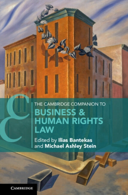 Cambridge Companions to Law