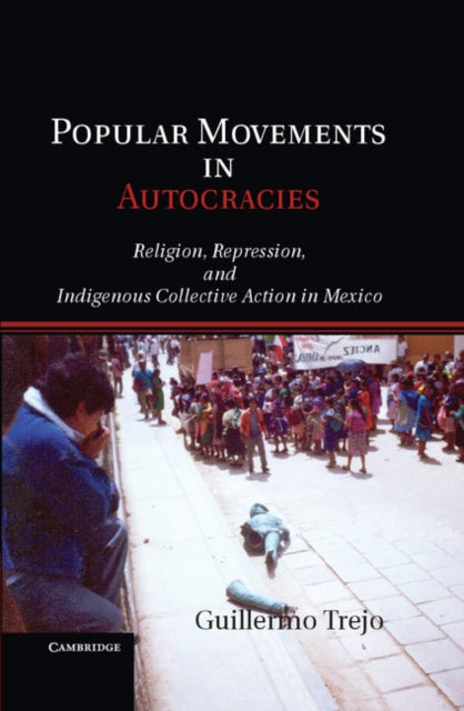 Cambridge Studies in Comparative Politics