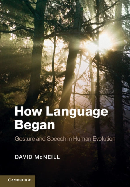 Approaches to the Evolution of Language