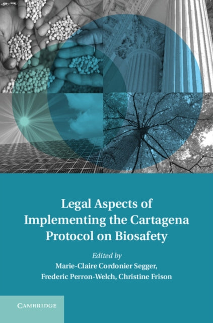 Treaty Implementation for Sustainable Development