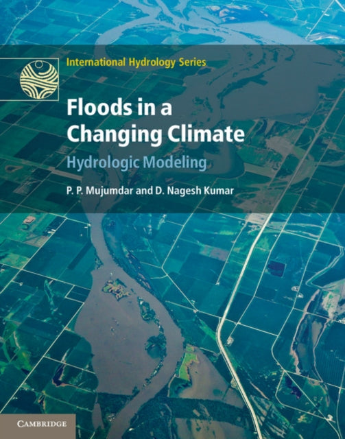 International Hydrology Series