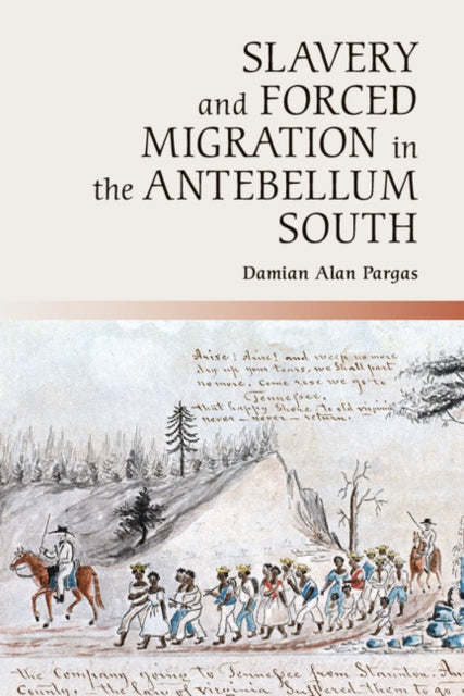 Cambridge Studies on the American South