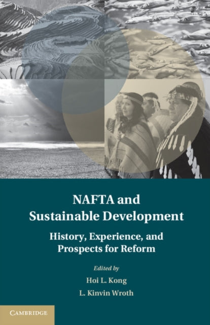 Treaty Implementation for Sustainable Development