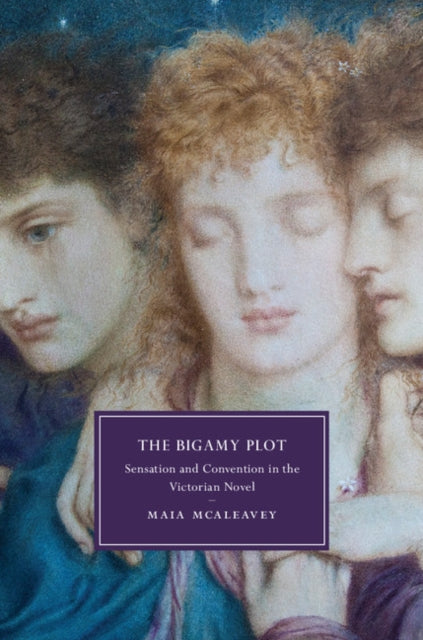 Cambridge Studies in Nineteenth-Century Literature and Culture