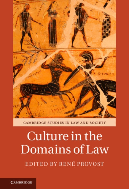 Cambridge Studies in Law and Society