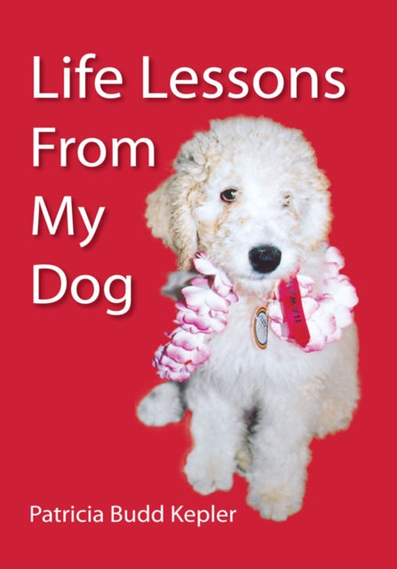 Life Lessons from My Dog