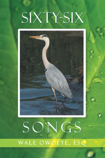 Sixty-Six Songs