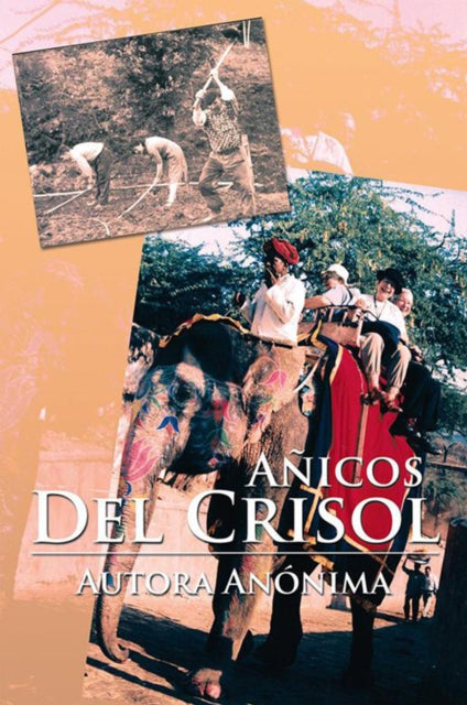 Añicos Del Crisol