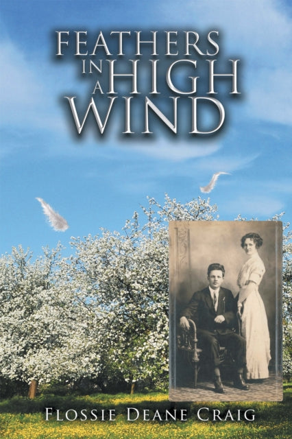 Feathers in a High Wind