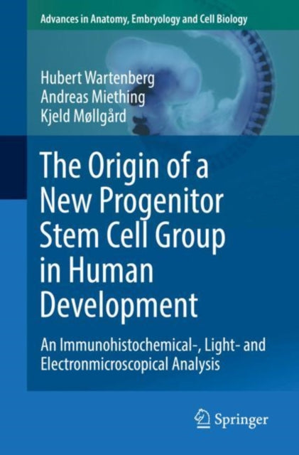 Origin of a New Progenitor Stem Cell Group in Human Development