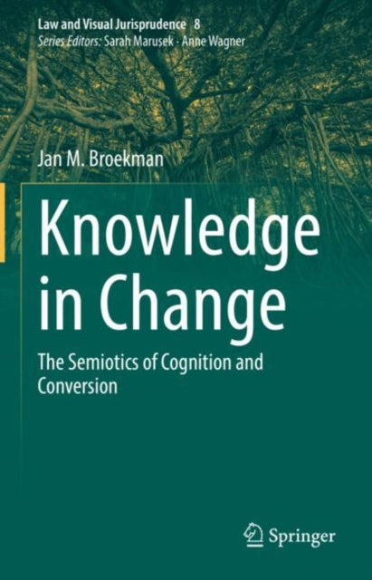 Law and Visual Jurisprudence