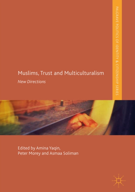 Palgrave Politics of Identity and Citizenship Series
