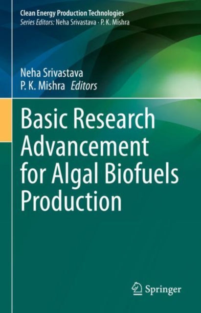 Clean Energy Production Technologies