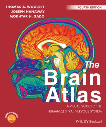 Brain Atlas