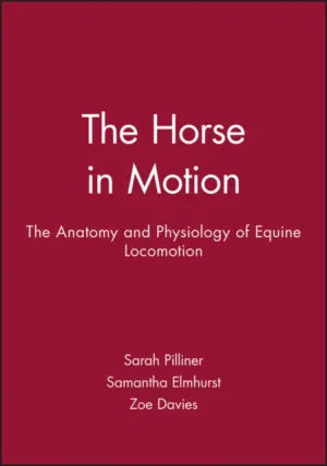 Horse in Motion