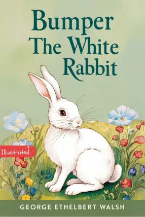 Bumper the White Rabbit