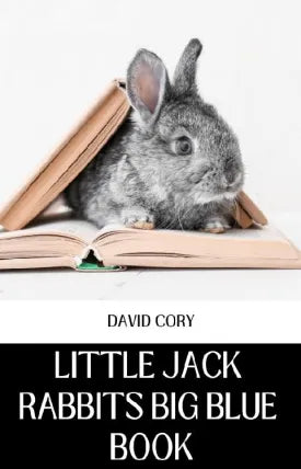 LITTLE JACK RABBITS BIG BLUE BOOK