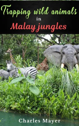 Trapping wild animals in Malay jungles