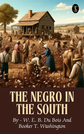 The Negro in the South