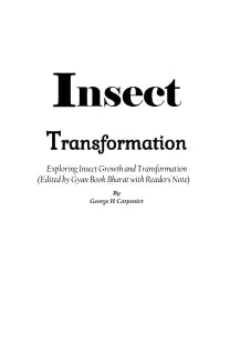 Insect Transformation