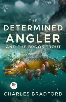 The Determined Angler and the Brook Trout