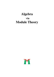 ALGEBRA VIA MODULE THEORY