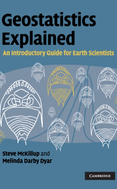 Geostatistics Explained