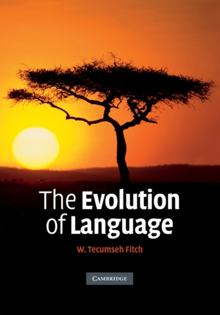 Approaches to the Evolution of Language