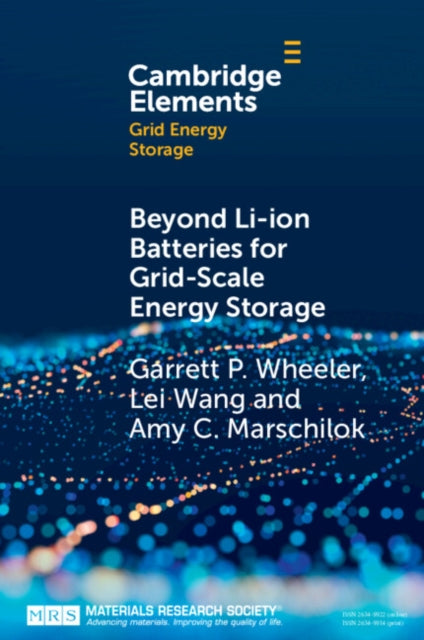 Elements in Grid Energy Storage