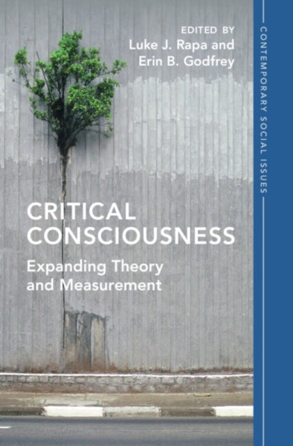 Contemporary Social Issues Series