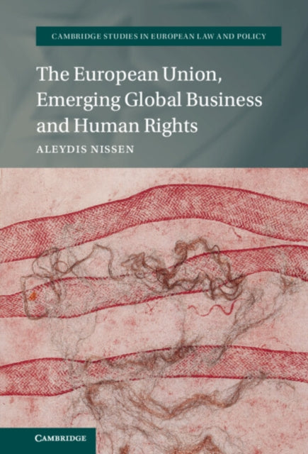 Cambridge Studies in European Law and Policy