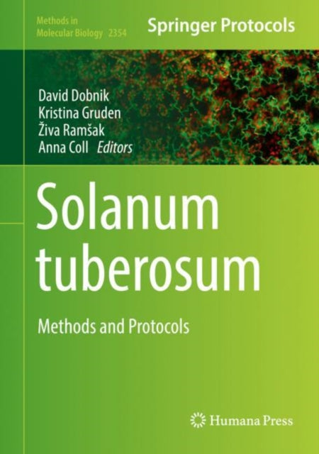 Solanum tuberosum