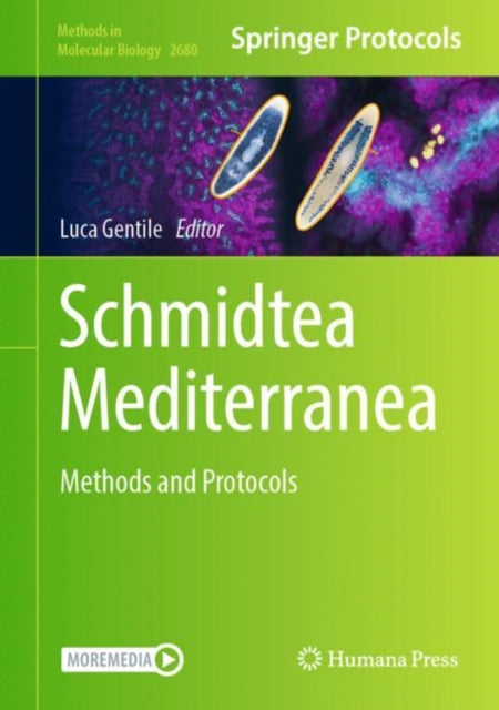 Schmidtea Mediterranea