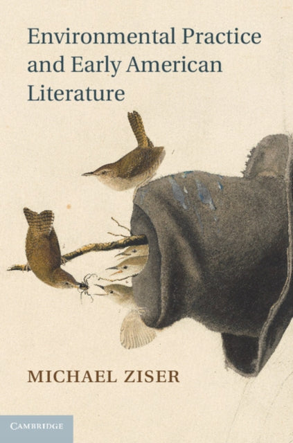 Cambridge Studies in American Literature and Culture