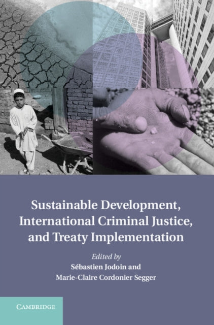 Treaty Implementation for Sustainable Development