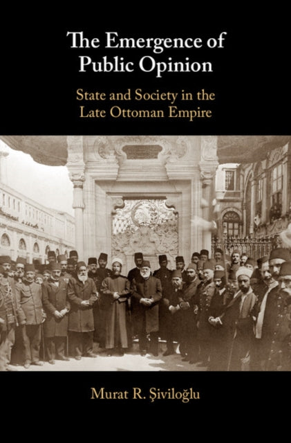 Emergence of Public Opinion
