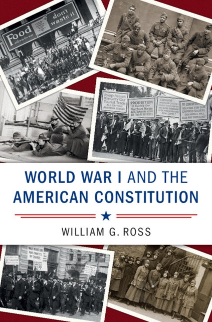 Cambridge Studies on the American Constitution
