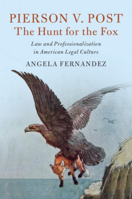 Cambridge Historical Studies in American Law and Society