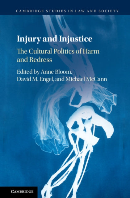 Cambridge Studies in Law and Society